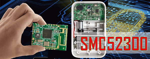 SMARTCHIP BLE Module _ SMC52300
